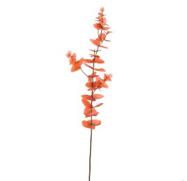 EUCALYPTUS 75CM CORAL