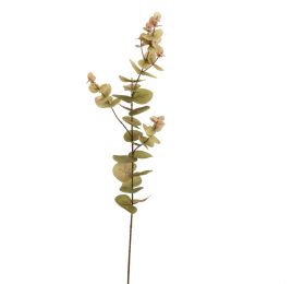 EUCALYPTUS 75CM GREEN