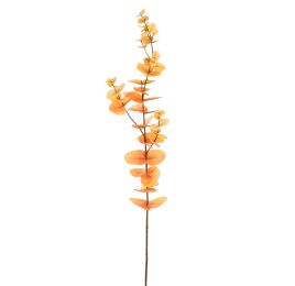 EUCALYPTUS 75CM YELLOW