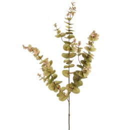 EUCALYPTUS 105CM GREEN