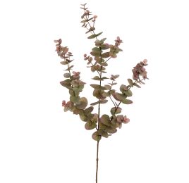 EUCALYPTUS 105CM GREEN PINK