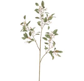 EUCALYPTUS 113CM GREEN