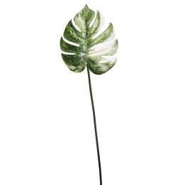 MONSTERA LEAF 52CM WHITE GREEN
