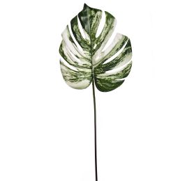 MONSTERA LEAF 60CM WHITE GREEN