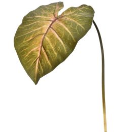 CALADIUM LEAF 113CM DARK GREEN