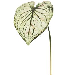 CALADIUM LEAF 113CM LIGHT GREEN