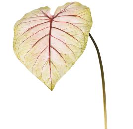 CALADIUM LEAF 113CM PINK GREEN