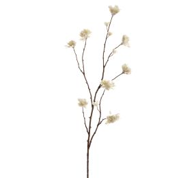 ALBIZIA SPRAY 108CM CREAM