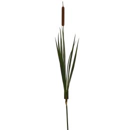 CATTAIL 100CM BROWN