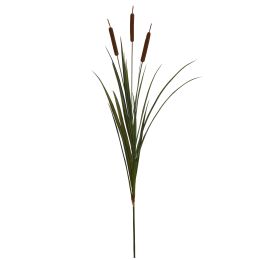 CATTAIL X3 125CM BROWN