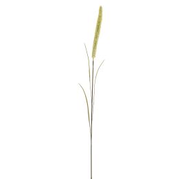 FOXTAIL 100CM CREAM