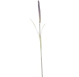 FOXTAIL 100CM LILAC