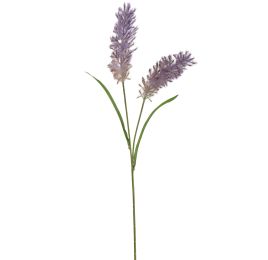 BRISTL GRASS X2 70CM LILAC