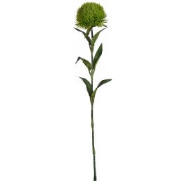 DIANTHUS 53CM GREEN