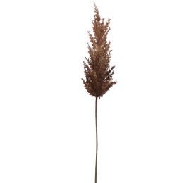 PAMPAS GRASS SPRAY 82CM BROWN