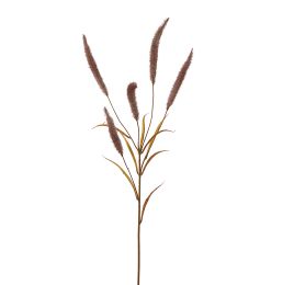 SETARIA GRASS SPRAY 74CM BROWN