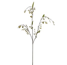 CHASMANTHIUM SPRAY 87CM GREEN