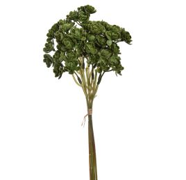 MINI AGAVE PICK X5 30CM GREEN