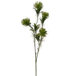 DIANTHUS SPRAY 60CM GREEN