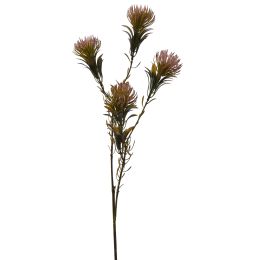 DIANTHUS SPRAY 60CM LILAC