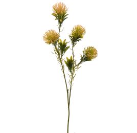 DIANTHUS SPRAY 60CM PEACH