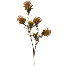 DIANTHUS SPRAY 60CM PINK
