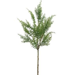 CYPRESS 60CM GREEN