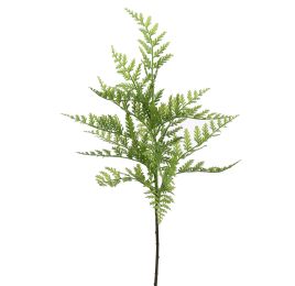 FERN 60CM GREEN