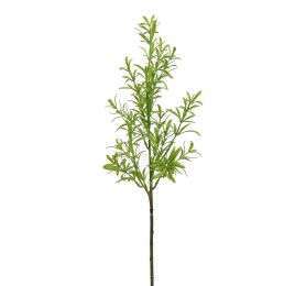 HERB 60CM GREEN