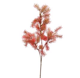 ASPARAGUS 73CM CORAL