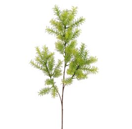 ASPARAGUS 73CM GREEN