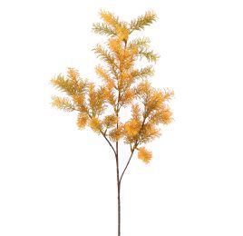 ASPARAGUS 73CM ORANGE
