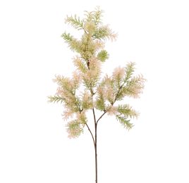 ASPARAGUS 73CM PINK