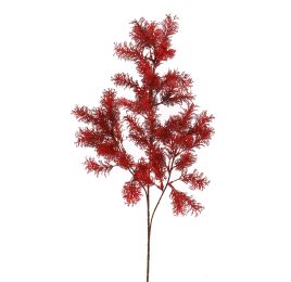 ASPARAGUS 73CM RED