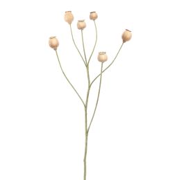 POPPY FRUIT SPRAY 79CM CREAM