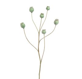 POPPY FRUIT SPRAY 79CM GREEN
