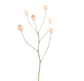 POPPY FRUIT SPRAY 79CM PEACH