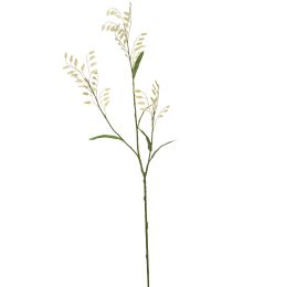 LARGE CHASMANTIUM 115CM CREAM