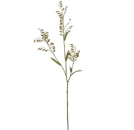 LARGE CHASMANTIUM 115CM GREEN