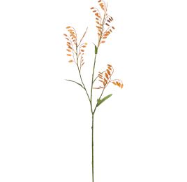 LARGE CHASMANTIUM 115CM YELLOW