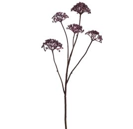 ANETHUM SPRAY X5 78CM PURPLE