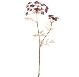 ANETHUM SPRAY X2 75CM BURGUNDY