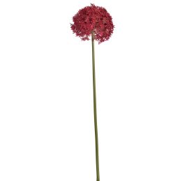 GIANT ALLIUM D19 H90CM BURGUNDY