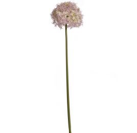 GIANT ALLIUM D19 H90CM LILAC