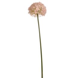 GIANT ALLIUM D19 H90CM PINK