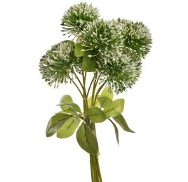ALLIUM BUNDLE 34CM CREAM