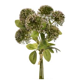 ALLIUM BUNDLE 34CM CREAM PINK
