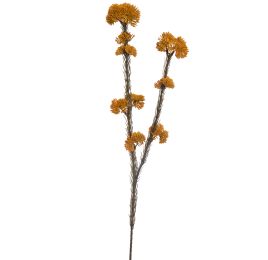 WILD SEDUM X2 SPRAY 57CM MUSTARD