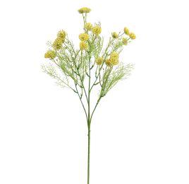 ANETHUM 60CM YELLOW