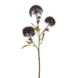 HERACLEUM 90CM LAVENDER